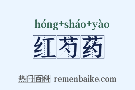 红芍药是什么意思的图片